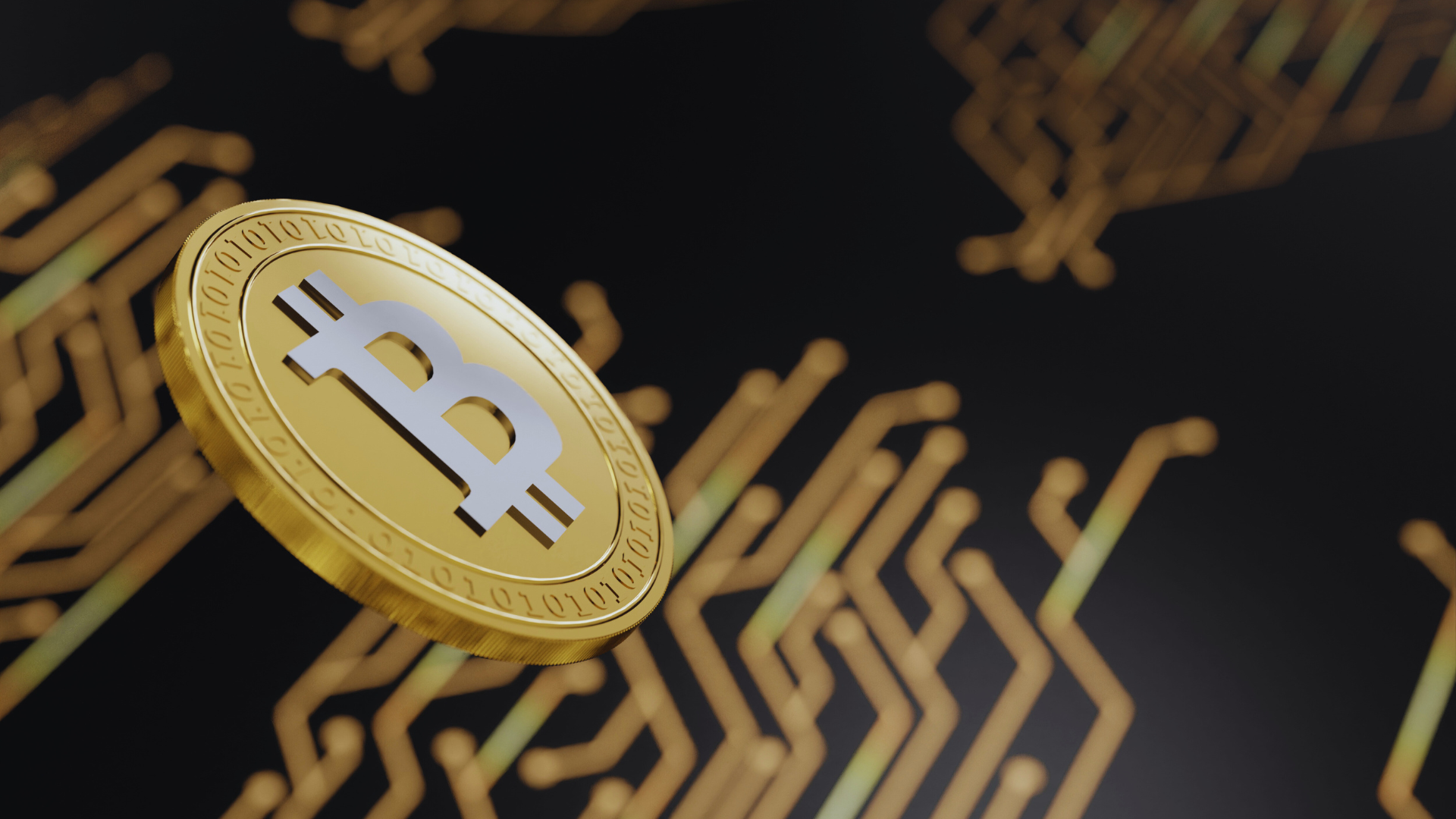 Read more about the article Importance of Crypto Wallets: Securing Your Digital Assets Effectively